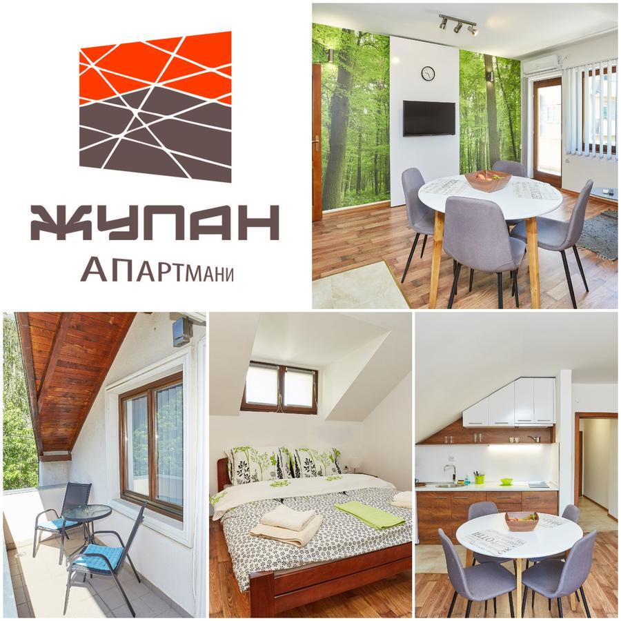 Zupan Apartmani Soko Banja Εξωτερικό φωτογραφία